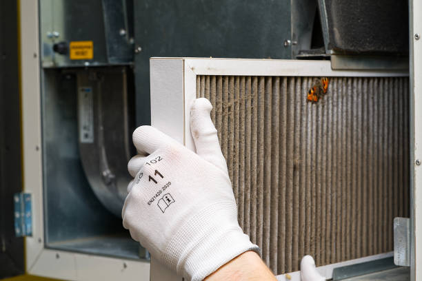 Air Duct Mold Removal in Orlando, FL