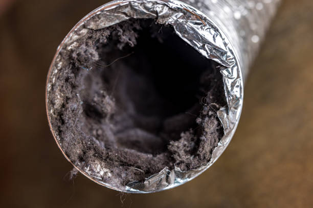 Best Air Duct Cleaning Near Me  in Orlando, FL